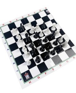 Co Quoc te hop giay lon Chinh hang AAA LHT 4